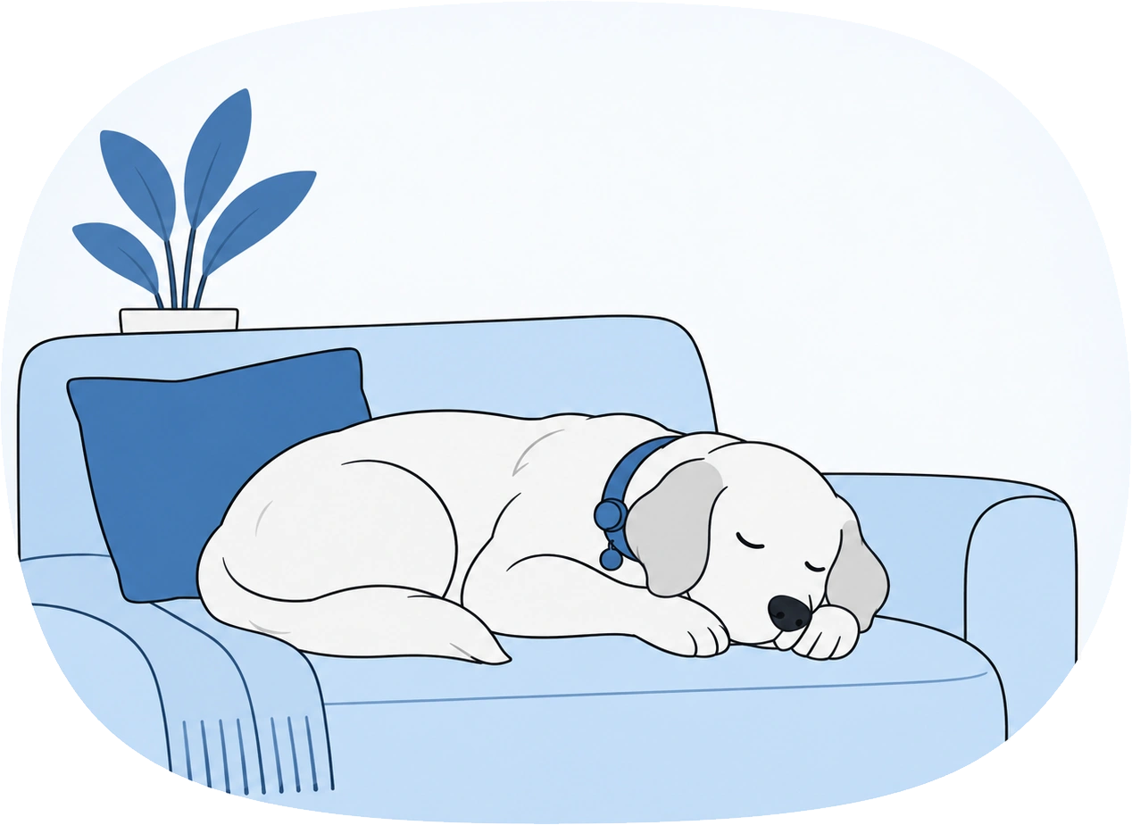 Dog asleep on a couch wearing the CanisX Smart Collar